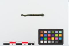 Foto von Bronzecertosafibel (NHMW-PRAE-024308)